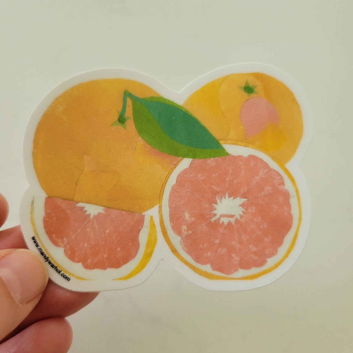 Grapefruit Sticker