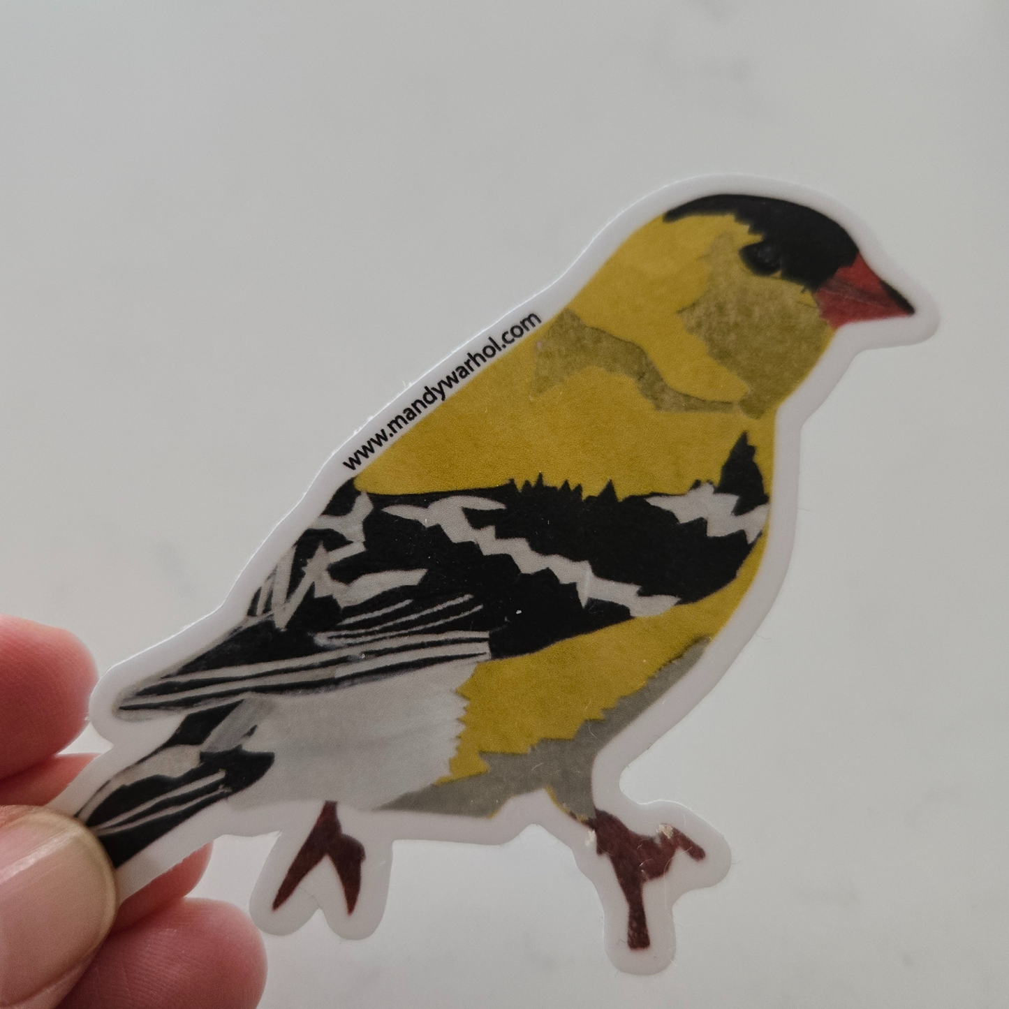 Goldfinch Sticker