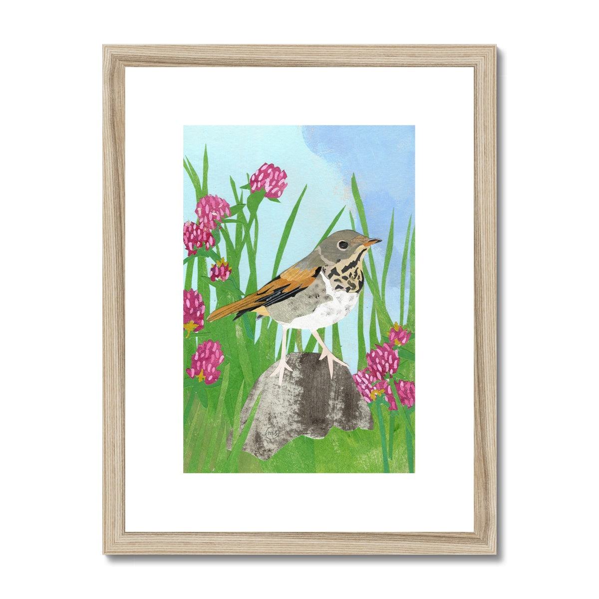 Red Clover Hermit Thrush Framed & Matted Print