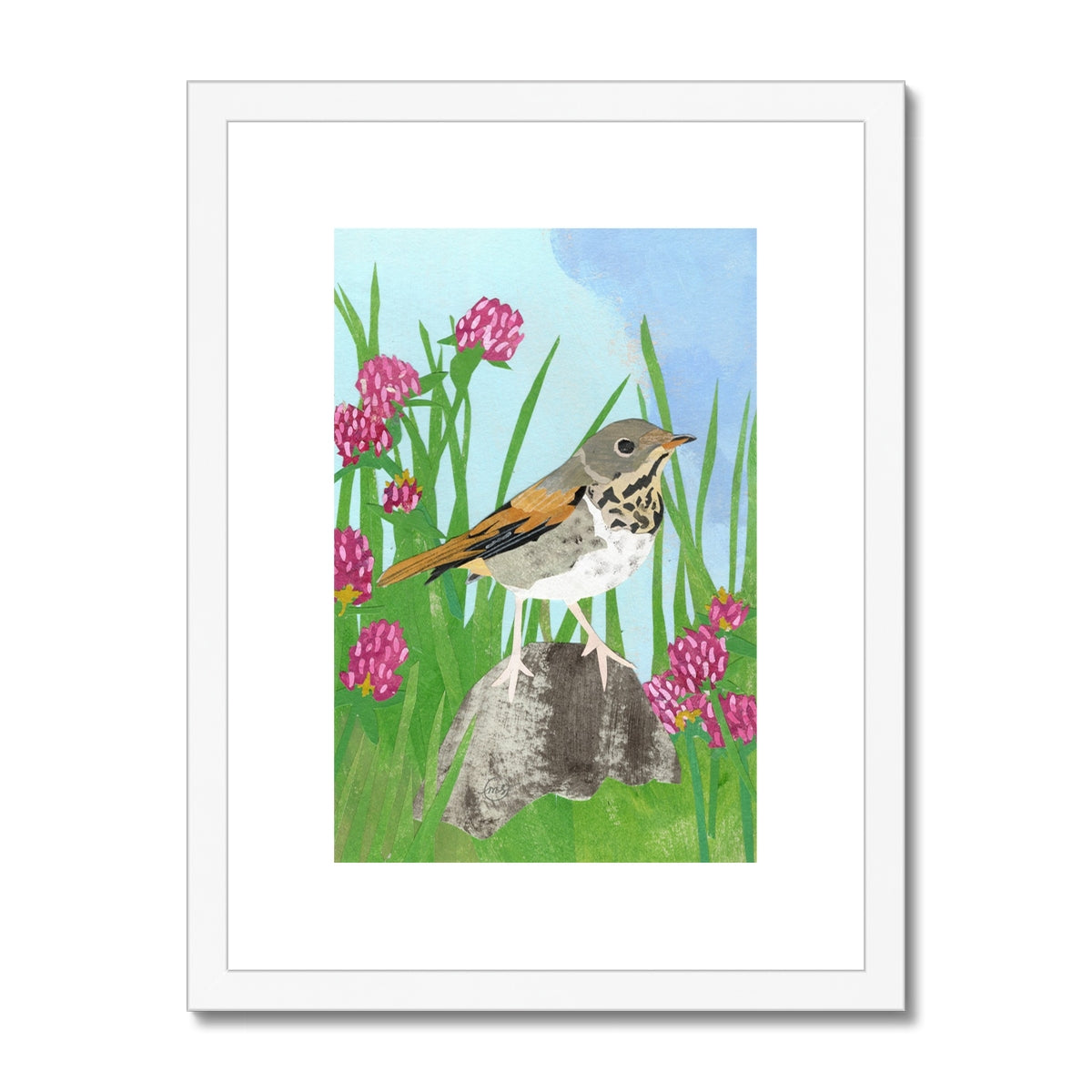 Red Clover Hermit Thrush Framed & Matted Print