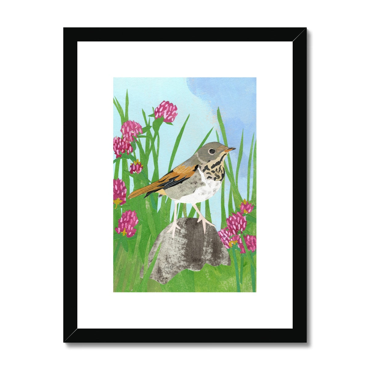 Red Clover Hermit Thrush Framed & Matted Print