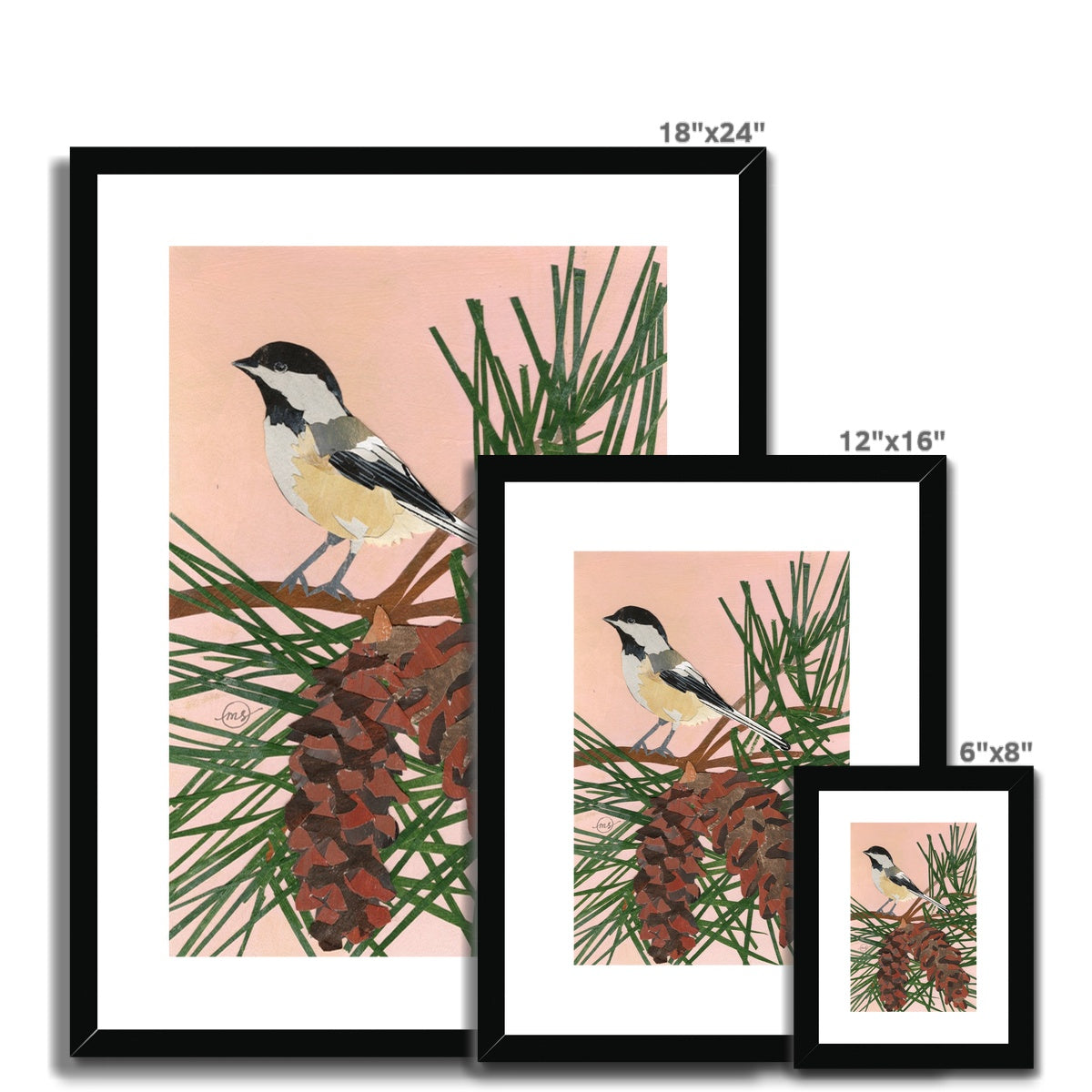 White Pine Chickadee Framed & Matted Print