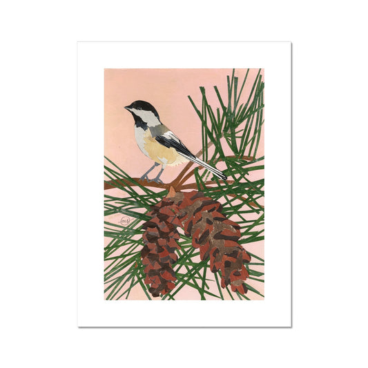 White Pine Chickadee