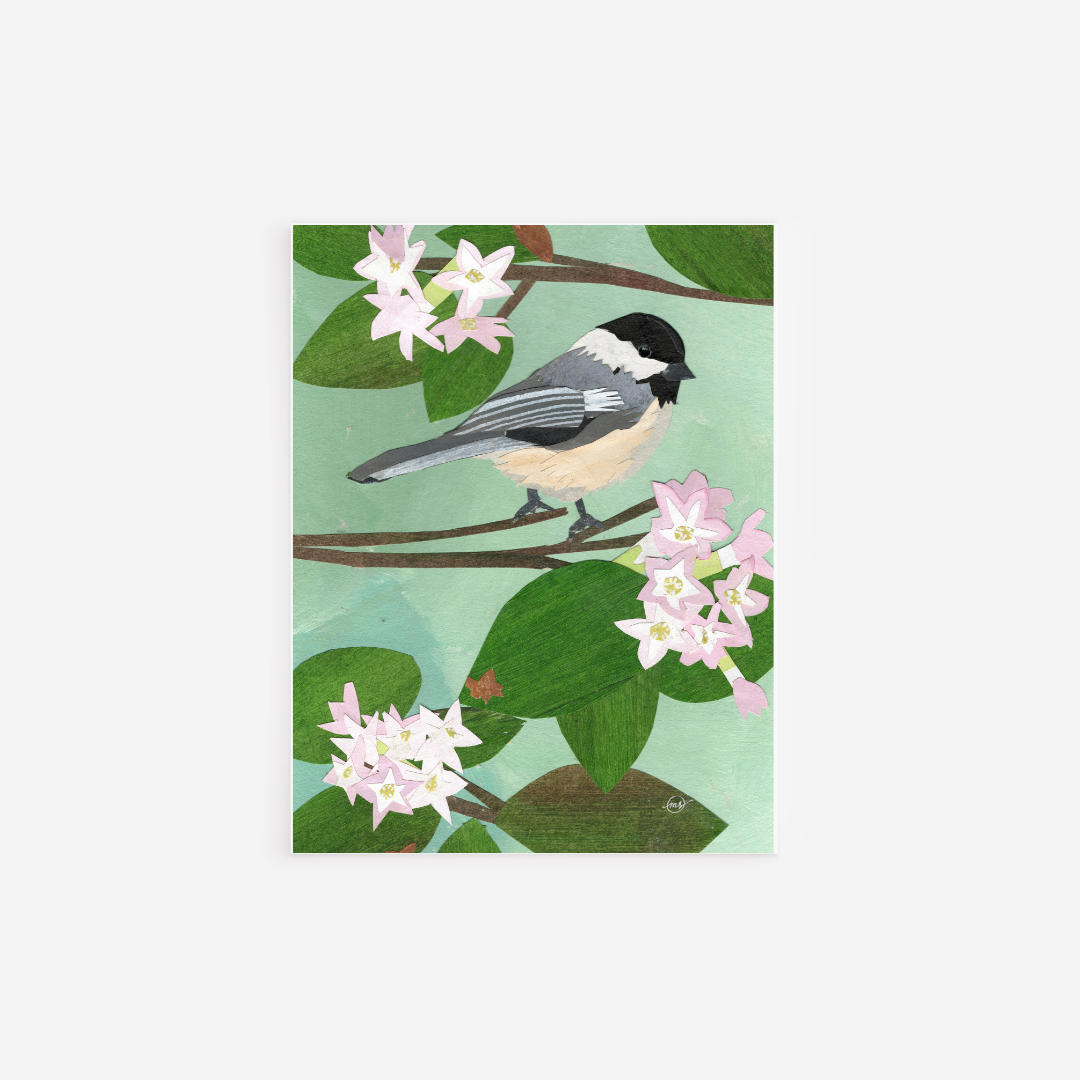 Mayflower Chickadee Note Card