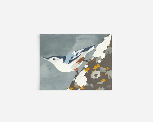 Nuthatch Note Card