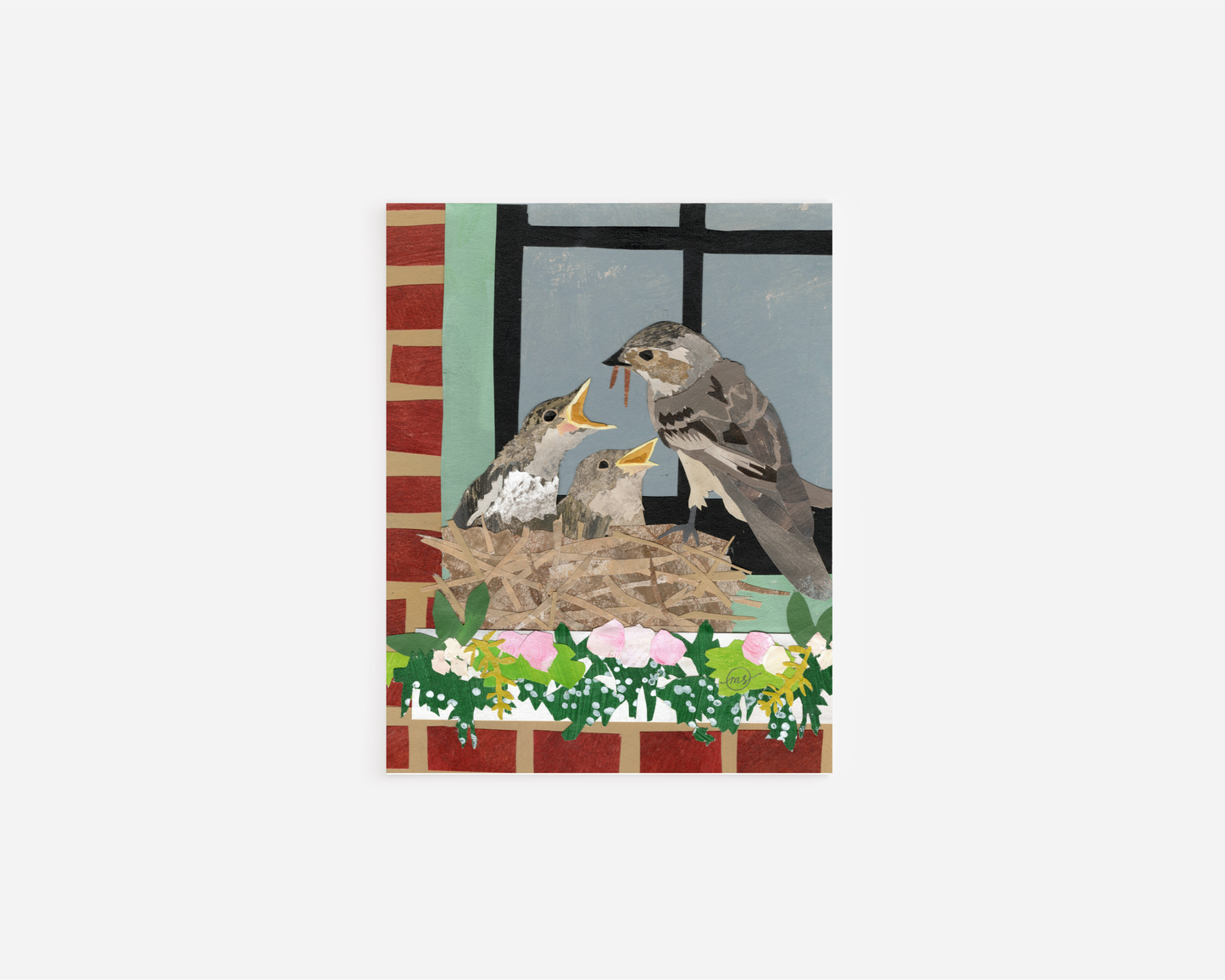 Baby Finch Mouth Note Card