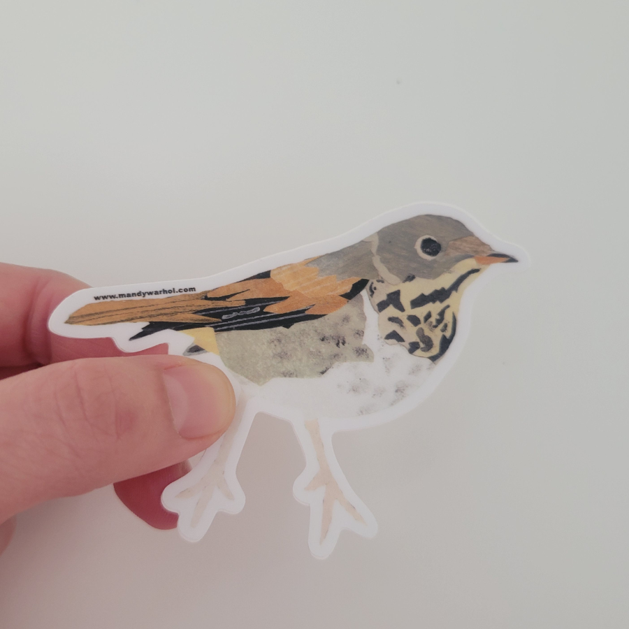 Hermit Thrush Sticker