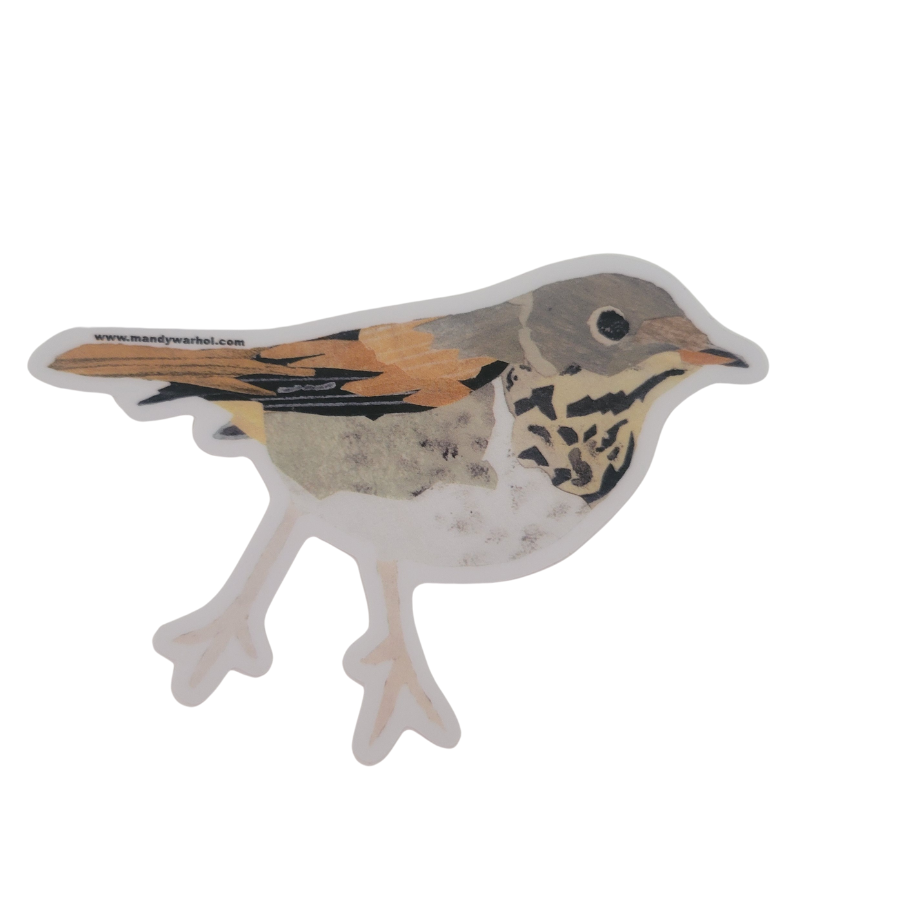 Hermit Thrush Sticker