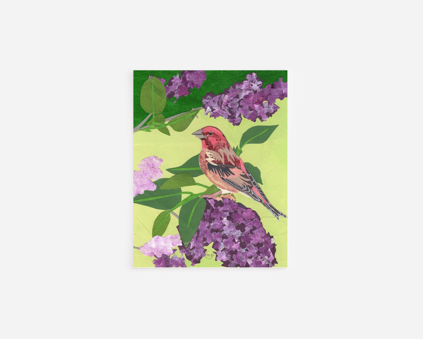 Lilac Purple Finch Note Card