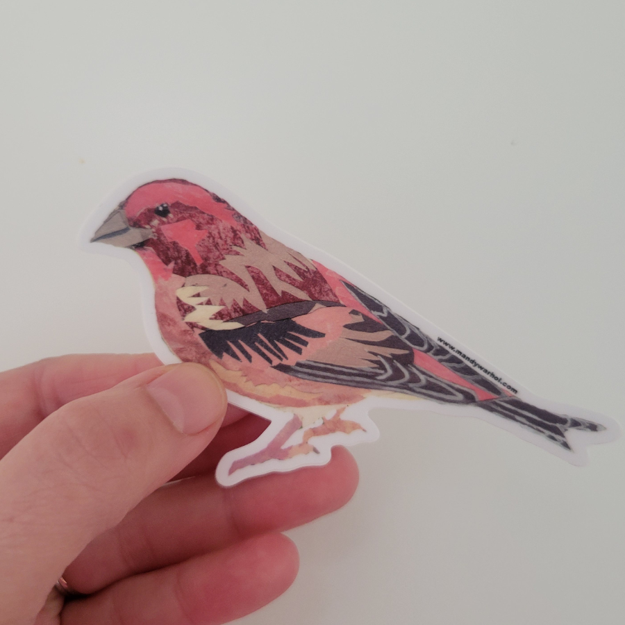 Purple Finch Sticker