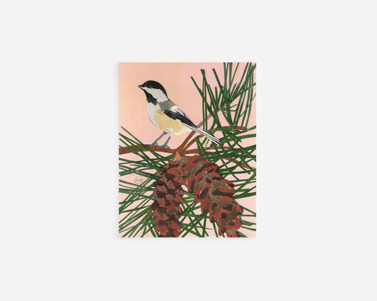 White Pine Chickadee Note Card