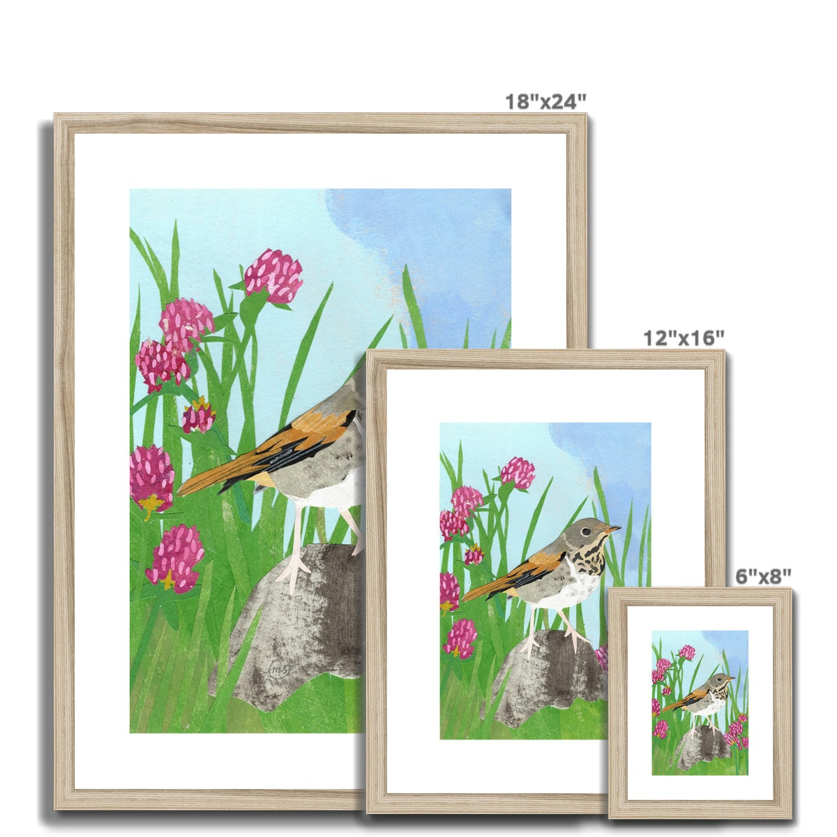 Red Clover Hermit Thrush Framed & Matted Print